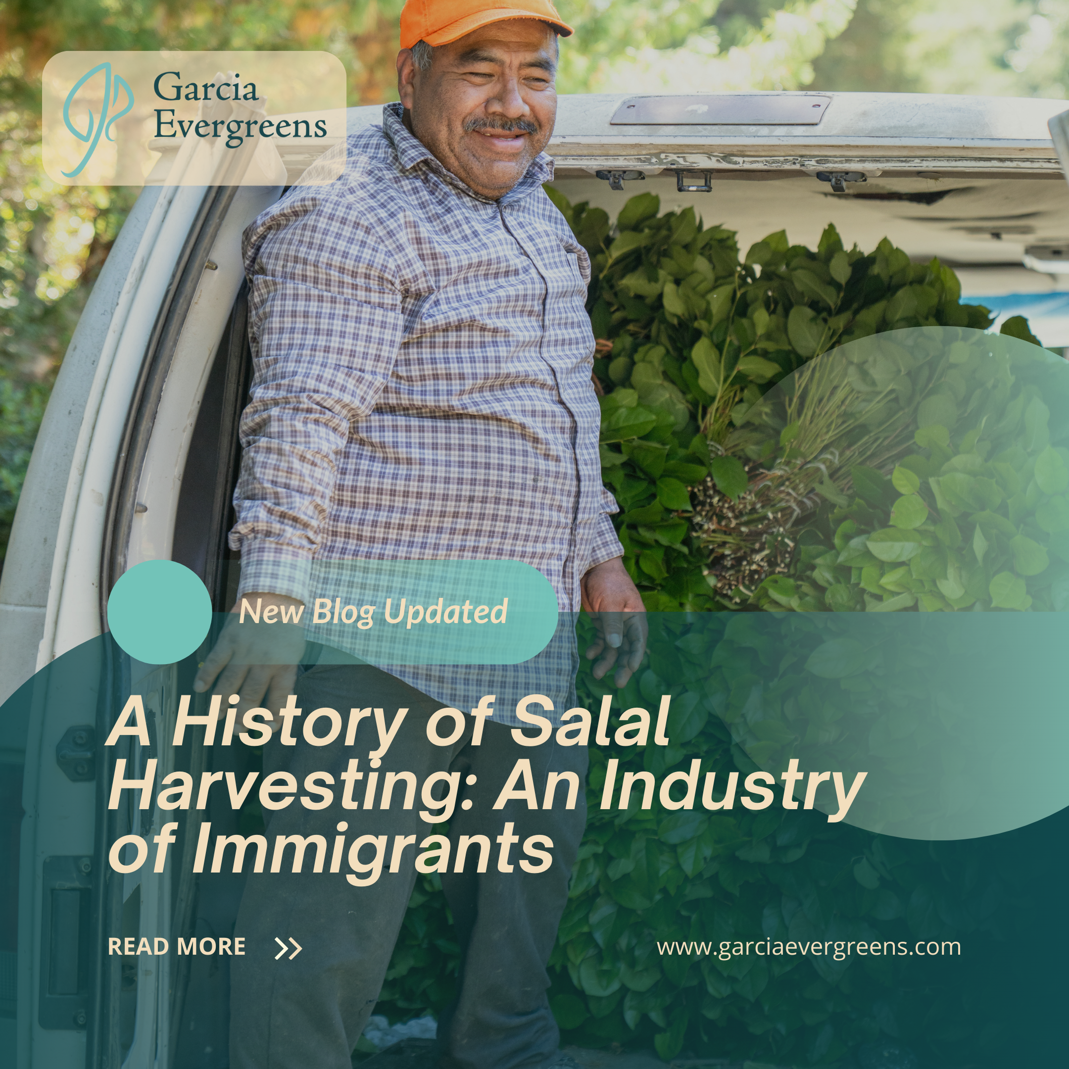 A History of Salal Harvesting: An Industry of Immigrants