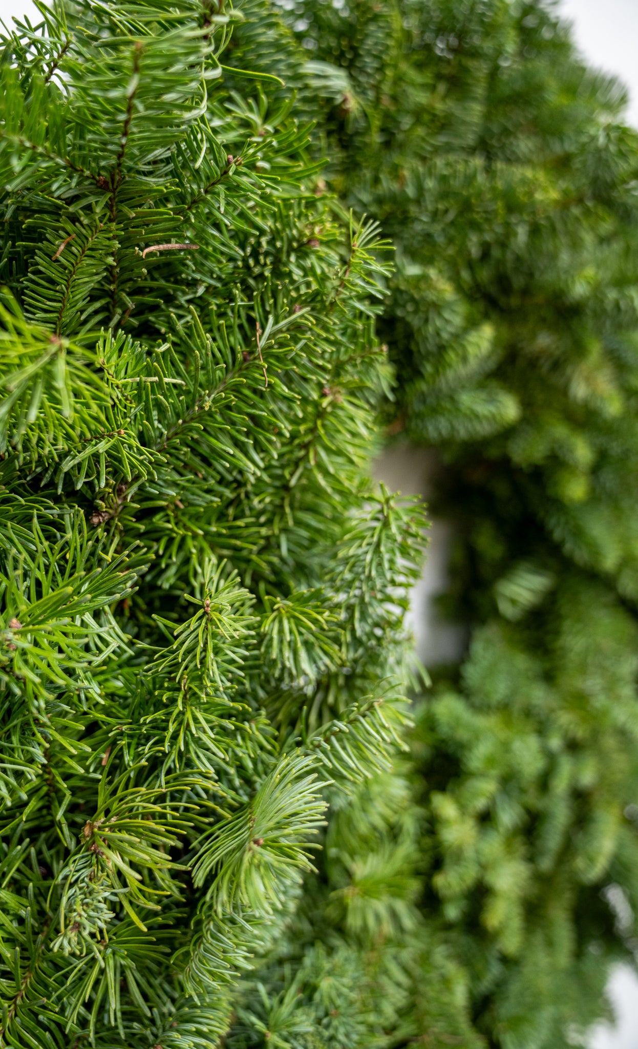 THE DIY WREATH