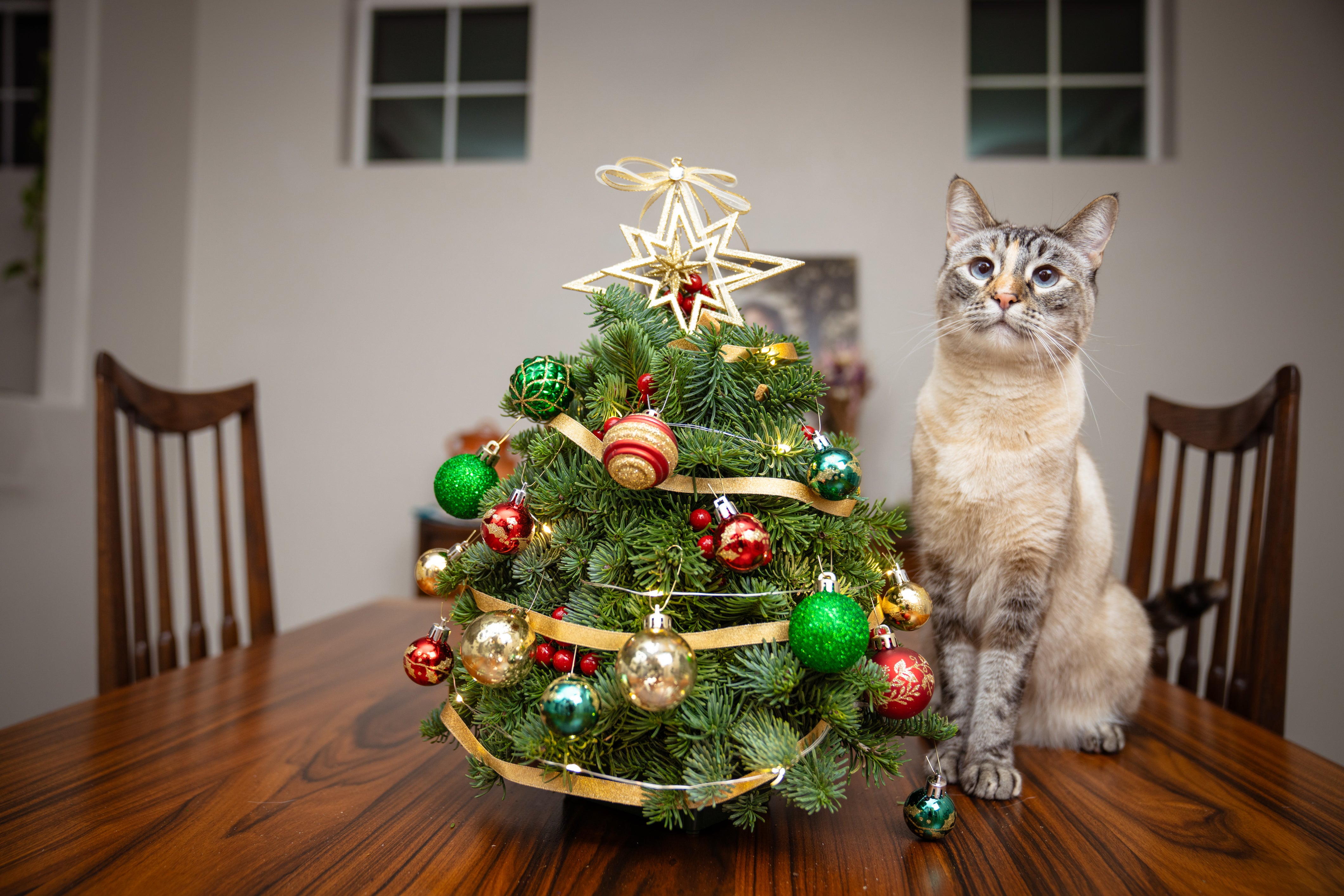 The MINI Christmas Tree