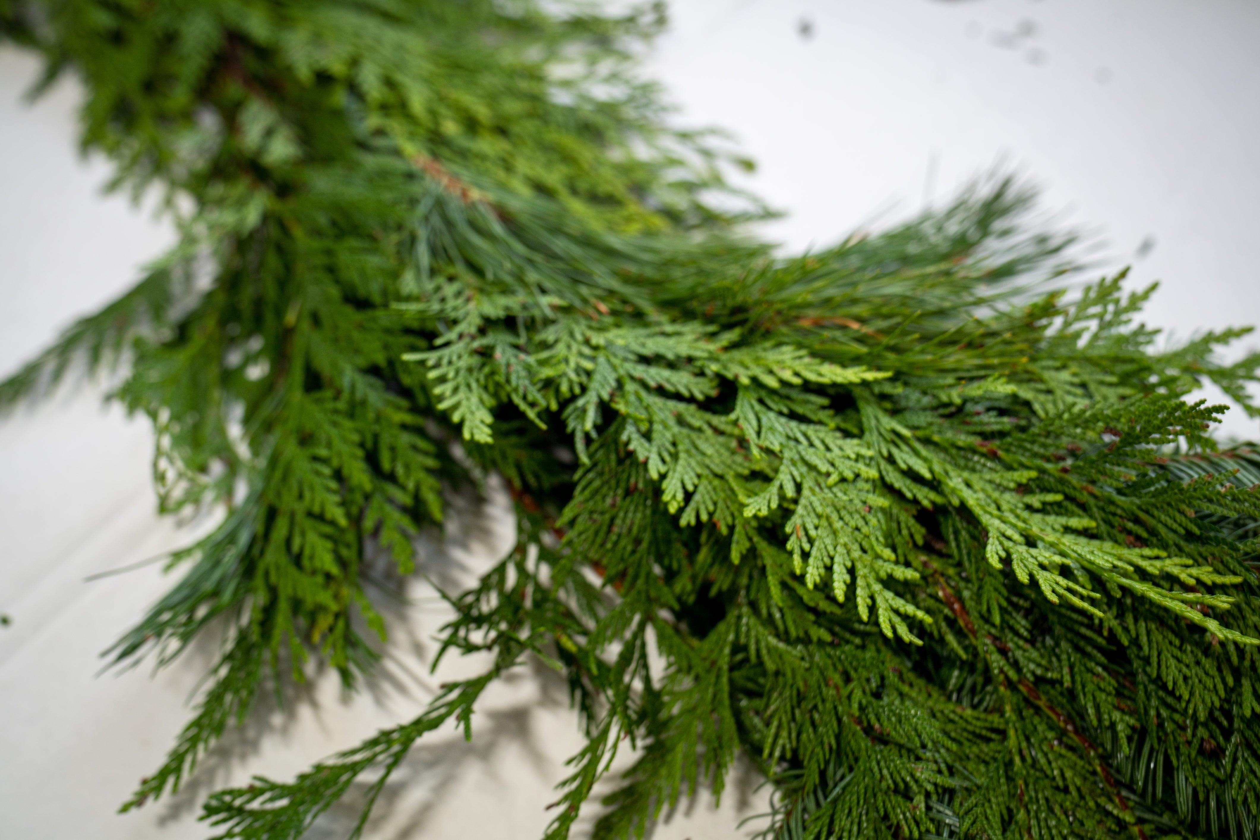 The Evergreen Crown – 18' Premium Garland