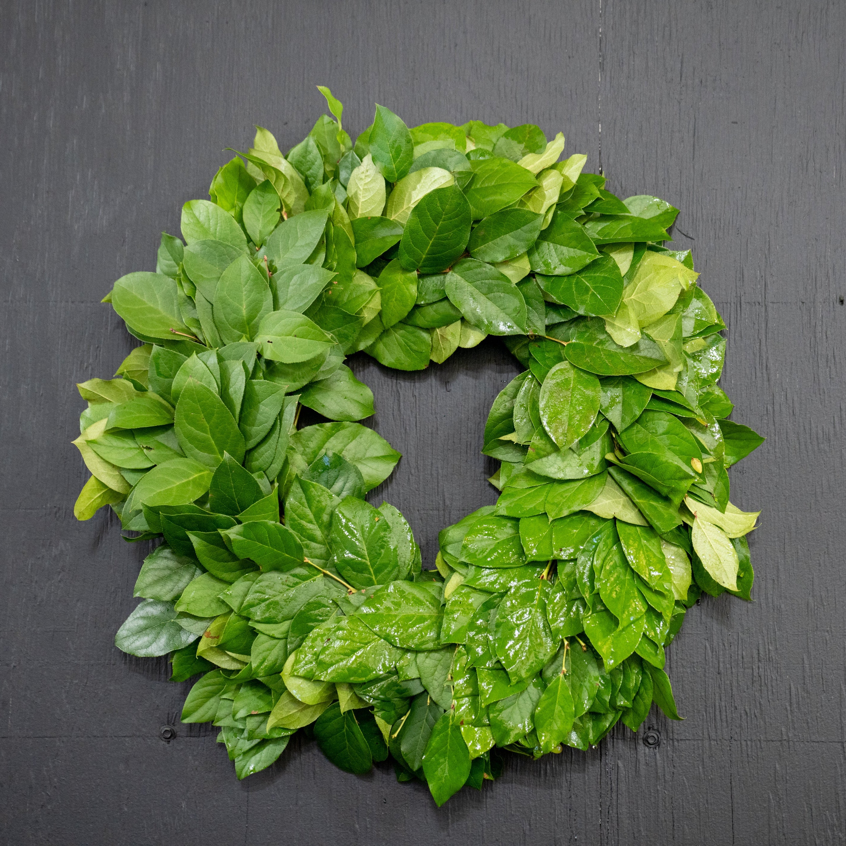 Salal Wreath