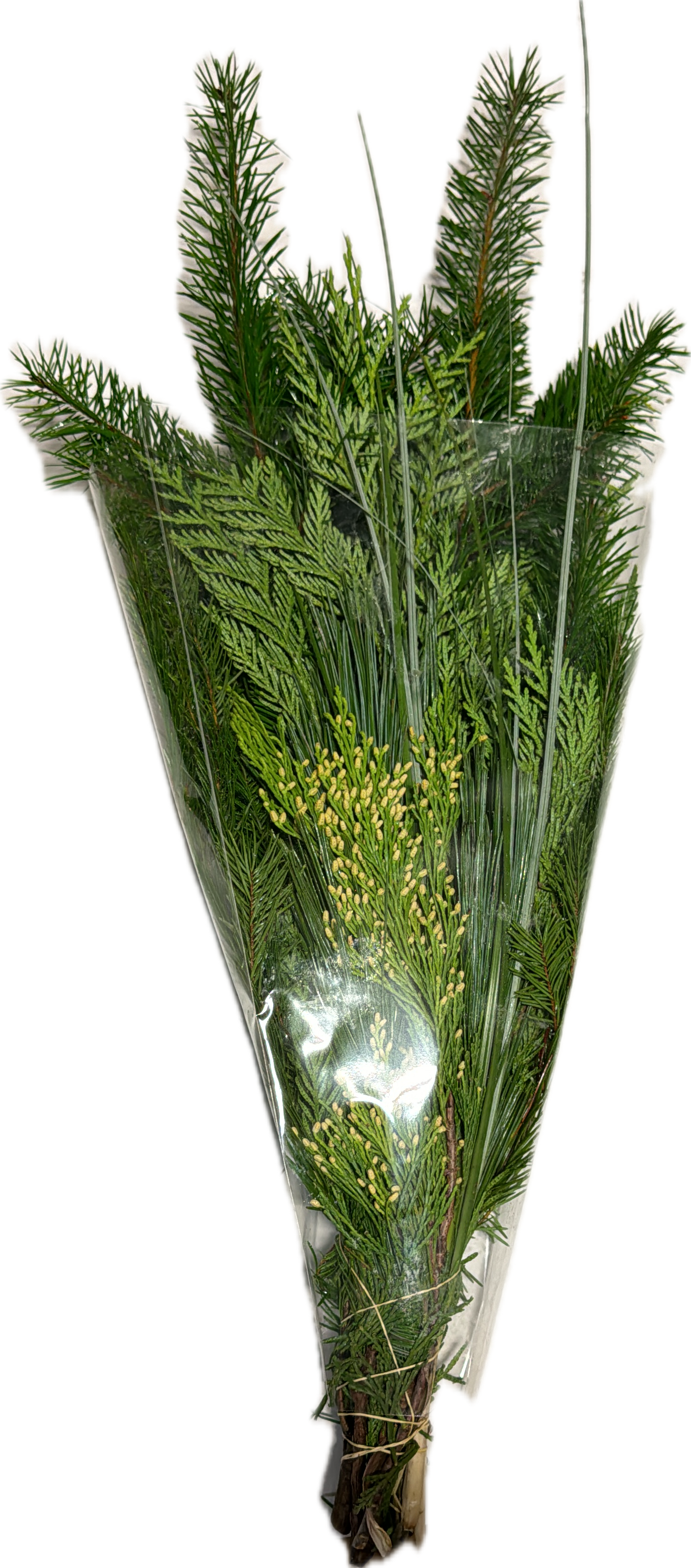 The Evergreen Bouquet