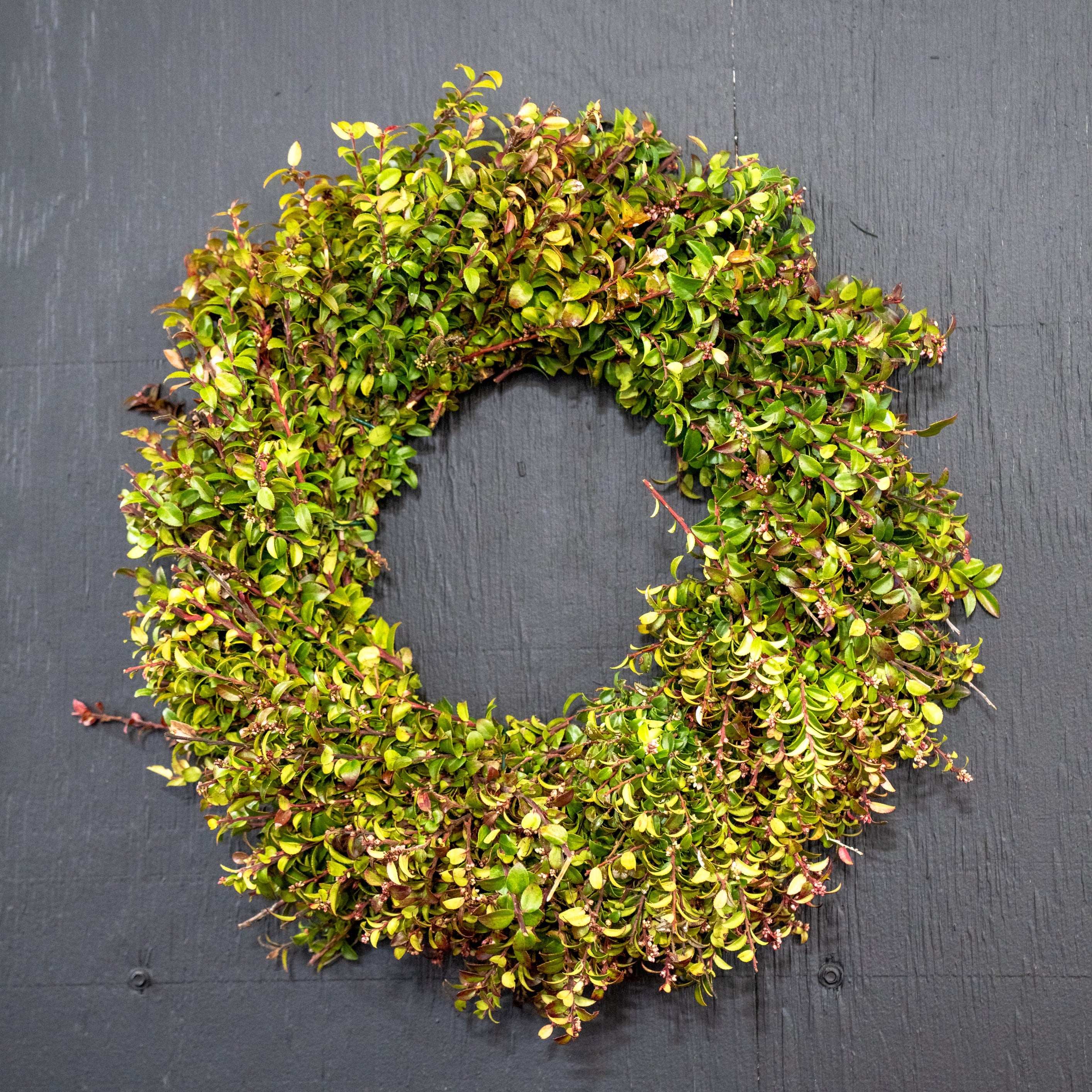 Red Huckleberry Wreath