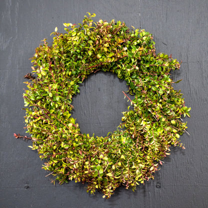 Red Huckleberry Wreath