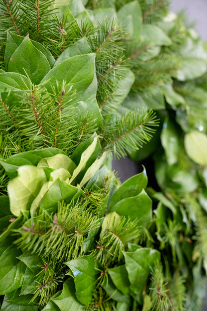 The Evergreen Forest