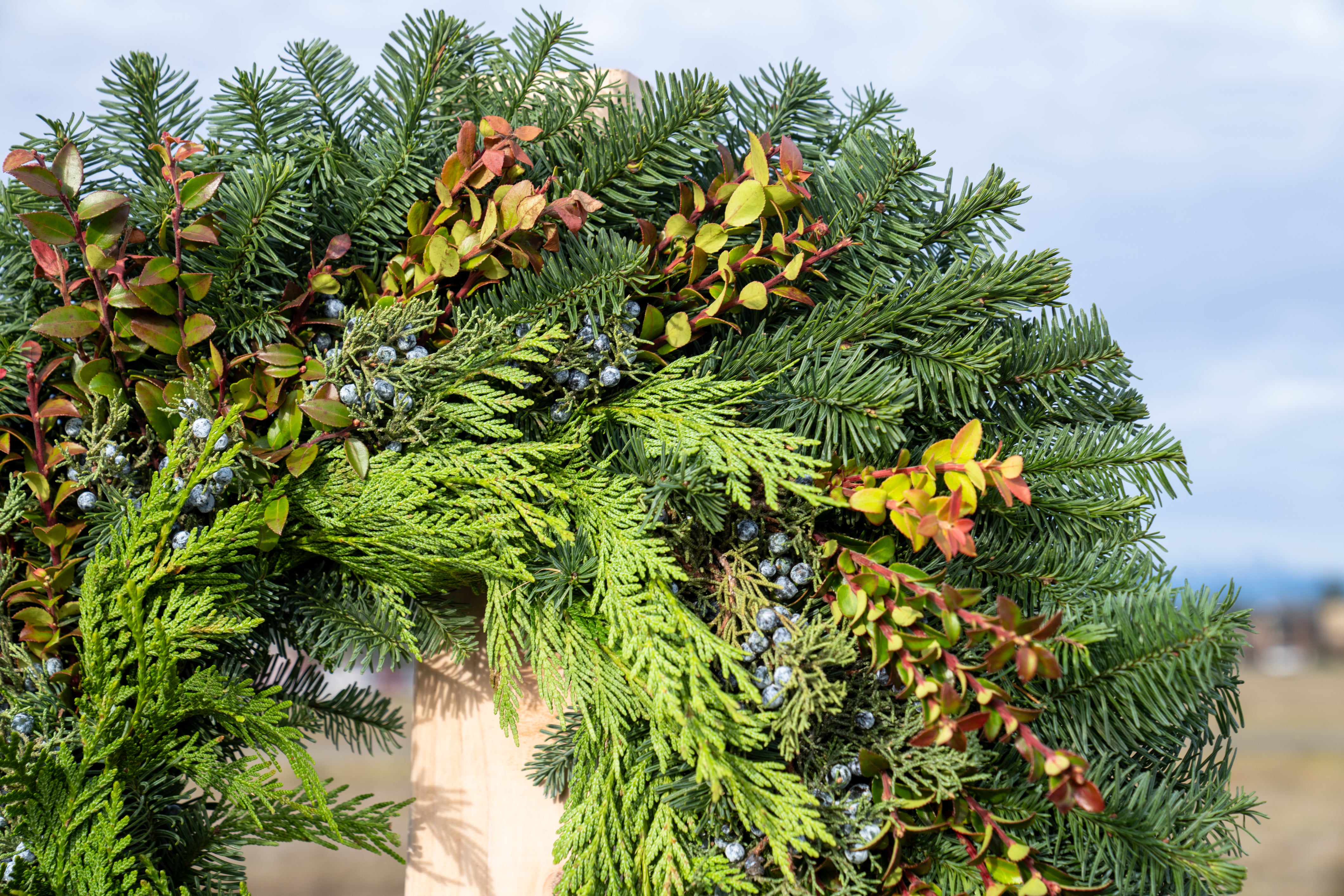 Green wreath with leaves and berries against a blurred natural background